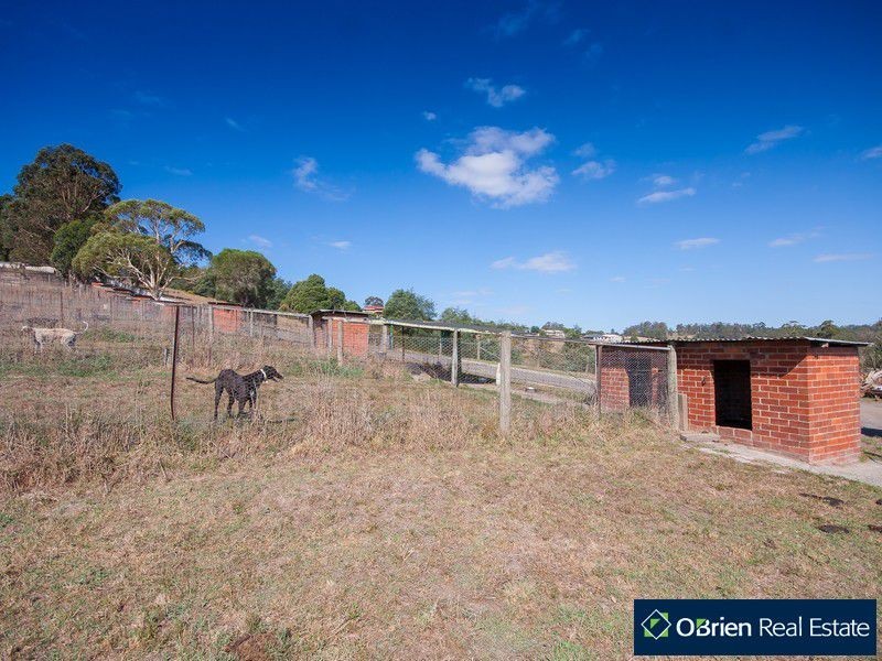 31 Wagner Road, Neerim South VIC 3831