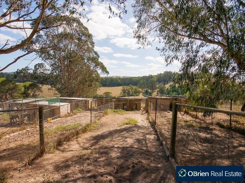 31 Wagner Road, Neerim South VIC 3831