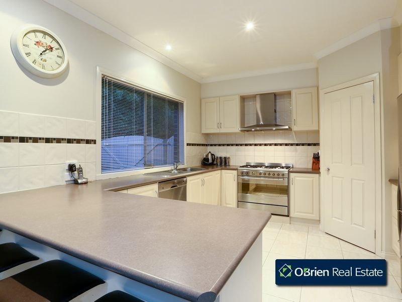 13 Grayden Drive, Berwick VIC 3806