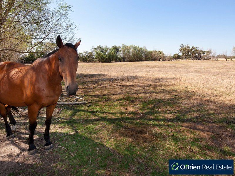 12 Hamilton Court, Pearcedale VIC 3912