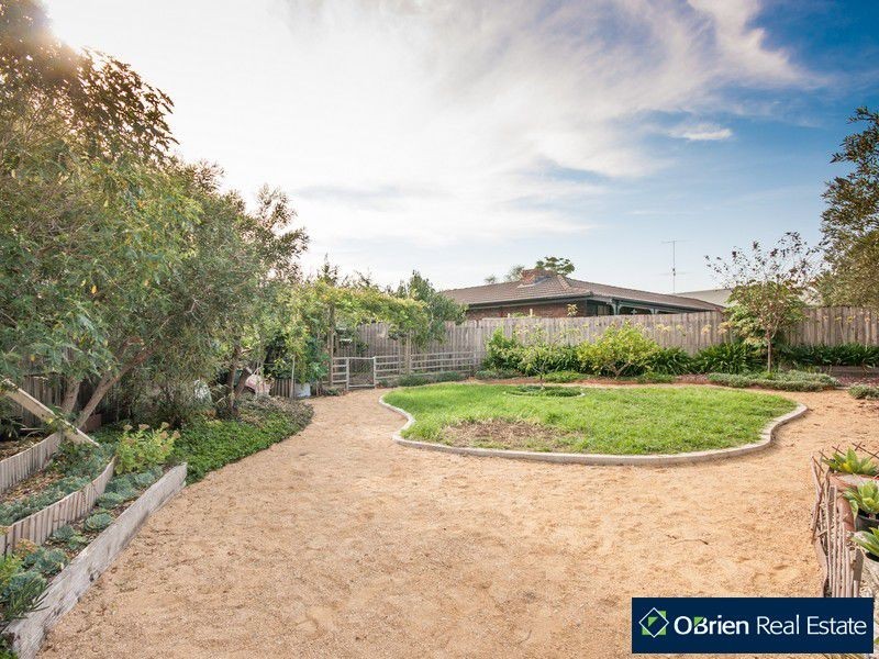 20 Hoop Pine Court, Cranbourne VIC 3977