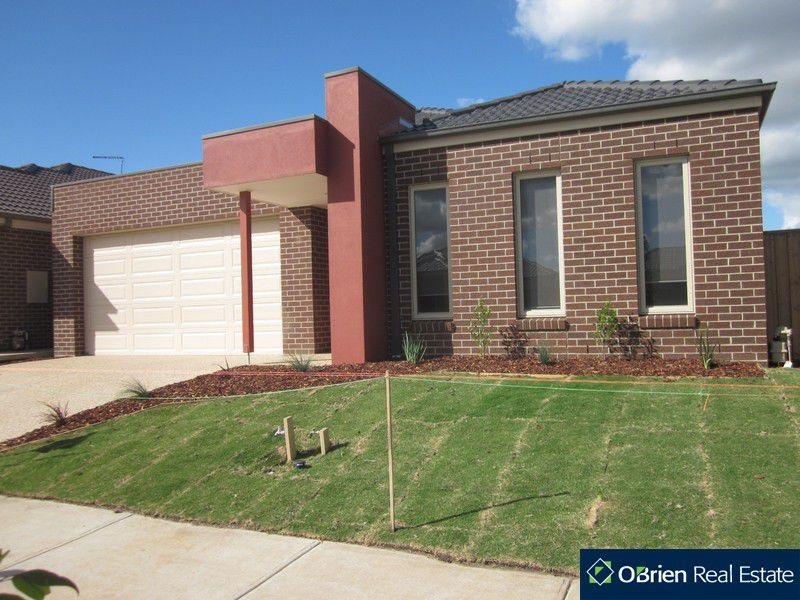 10 Curran Drive, Officer VIC 3809
