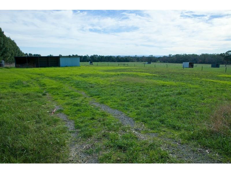 590 North Yannathan Road, Ripplebrook VIC 3818