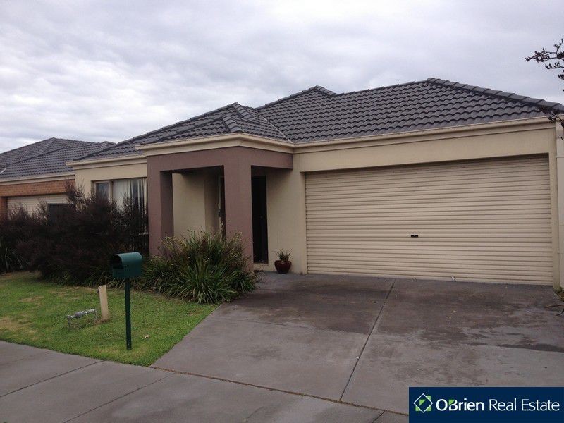 29 Everly Circuit, Pakenham VIC 3810