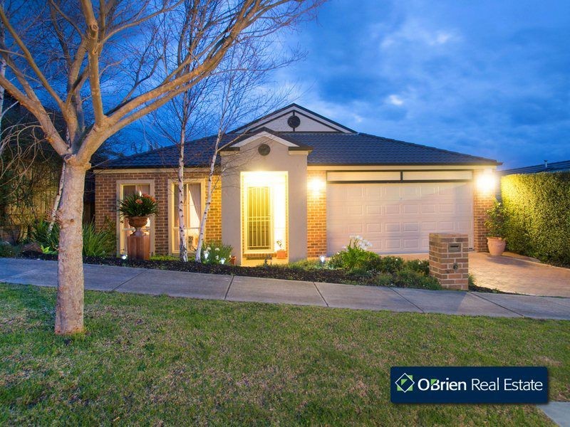 17 Hawkesbury Street, Berwick VIC 3806