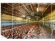 779 Belgrave Hallam Road, Narre Warren East VIC 3804