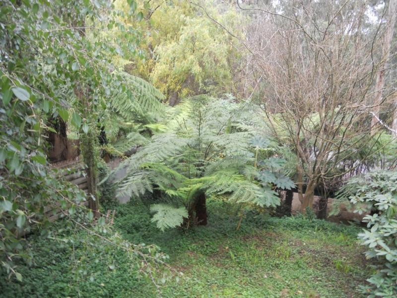 49 Caroline Avenue, Cockatoo VIC 3781