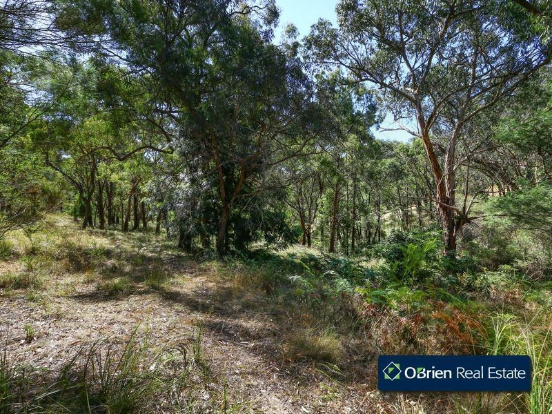 503 O’Neil Road, Beaconsfield VIC 3807
