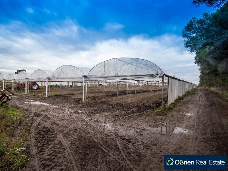 145 Corinella Road, Corinella VIC 3984