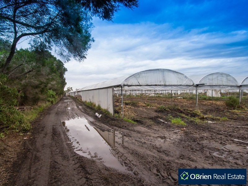 145 Corinella Road, Corinella VIC 3984