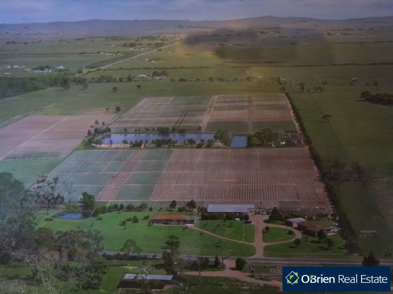 145 Corinella Road, Corinella VIC 3984