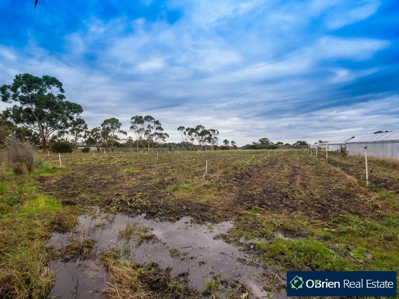 145 Corinella Road, Corinella VIC 3984