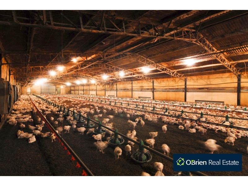 3590 Ballarto Road, Bayles VIC 3981