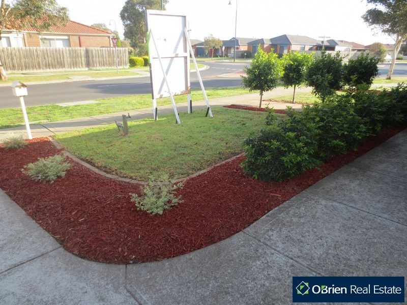 1 Alberton Drive, Cranbourne VIC 3977