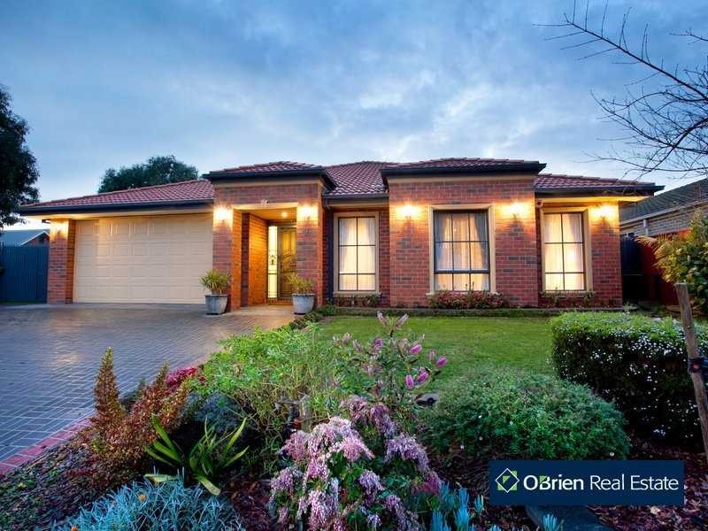 16 Spoonbill Street, Berwick VIC 3806