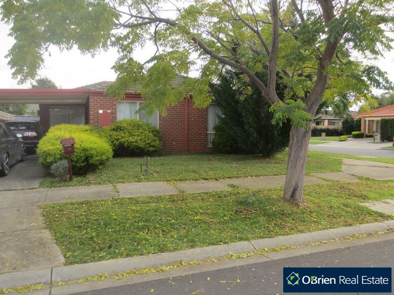 79 Scarborough Avenue, Cranbourne VIC 3977