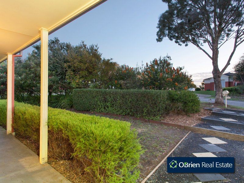6 Yalumba Court, Berwick VIC 3806
