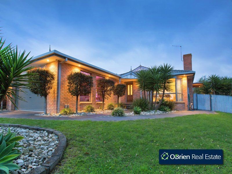 19 Diamond Court, Narre Warren VIC 3805