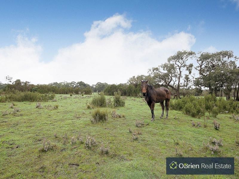 198 Pearcedale Road, Cranbourne South VIC 3977