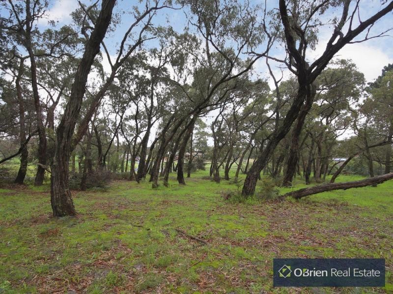 198 Pearcedale Road, Cranbourne South VIC 3977