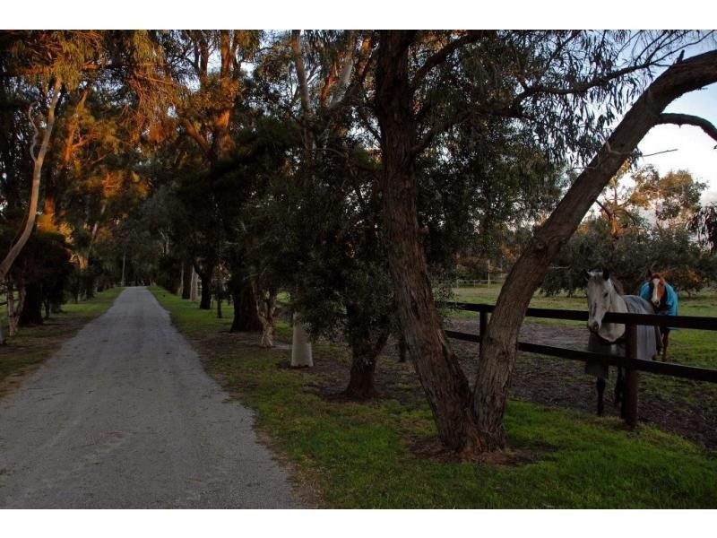 181 Craig Road, Pearcedale VIC 3912