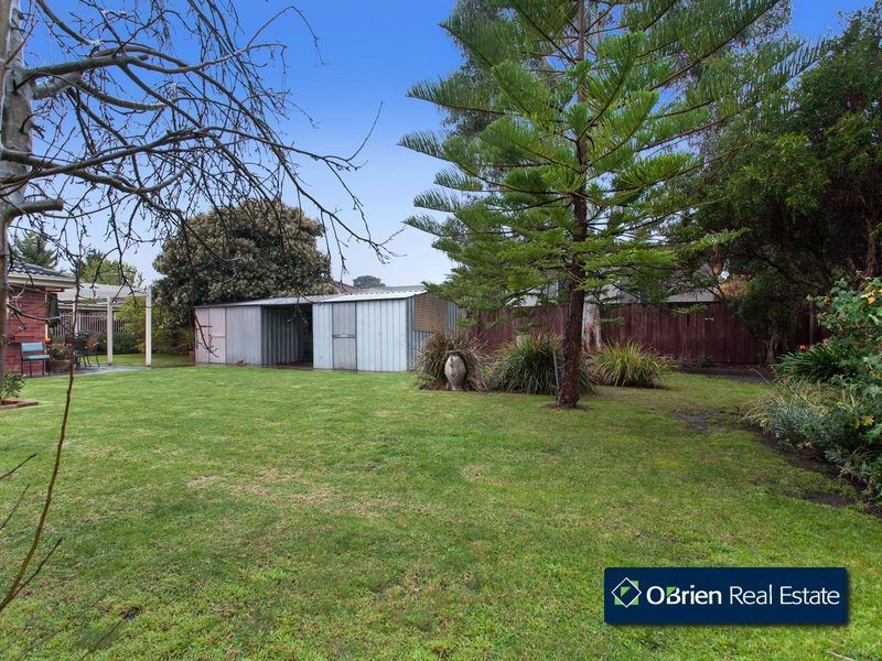 12 Festival Terrace, Berwick VIC 3806