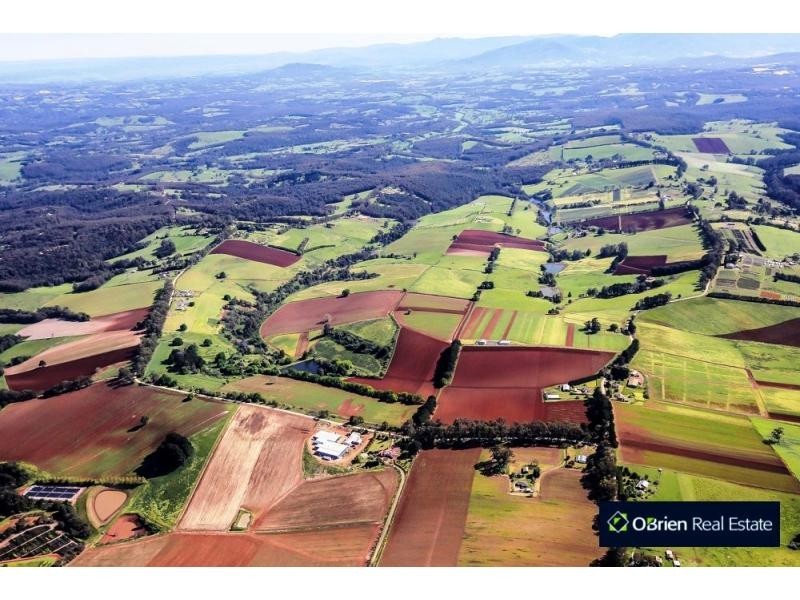 65 Ure Road, Gembrook VIC 3783