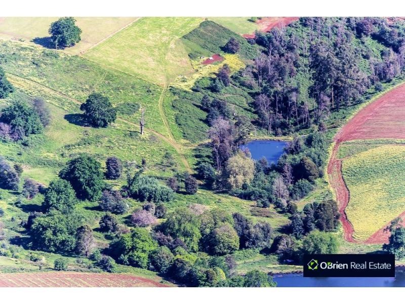 65 Ure Road, Gembrook VIC 3783