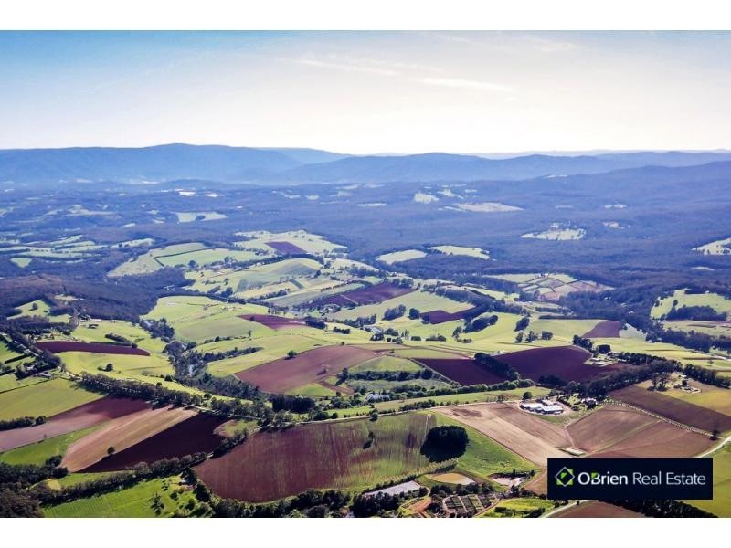 65 Ure Road, Gembrook VIC 3783