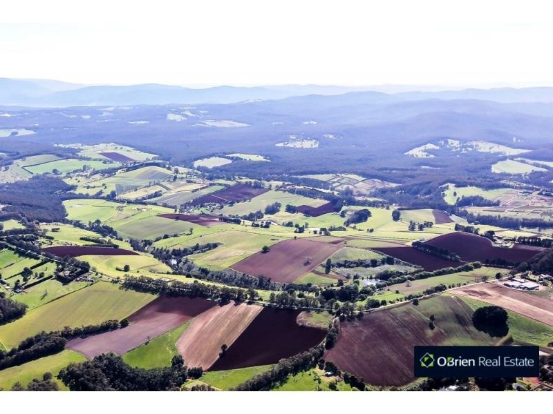 65 Ure Road, Gembrook VIC 3783