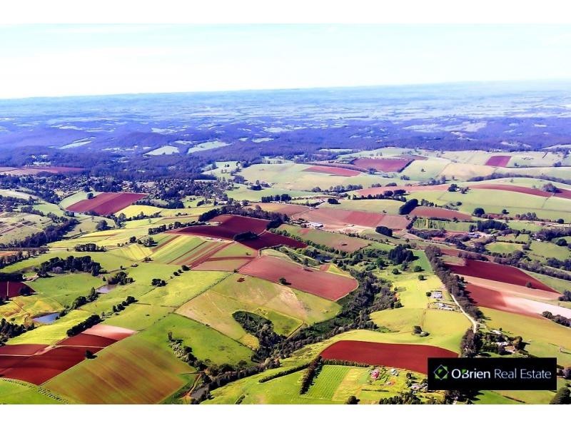 65 Ure Road, Gembrook VIC 3783