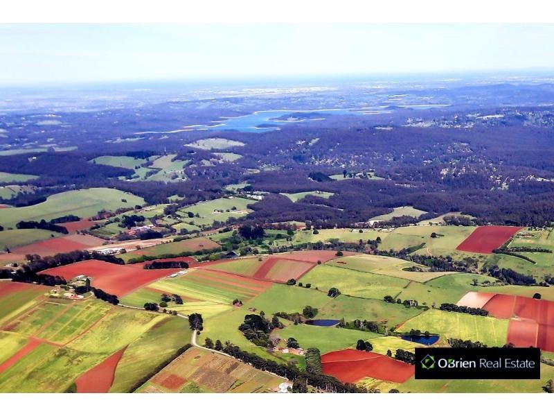 65 Ure Road, Gembrook VIC 3783