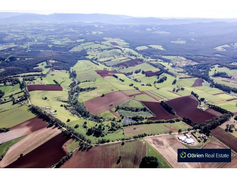 65 Ure Road, Gembrook VIC 3783