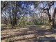160 Cherry Tree Road, Nyora VIC 3987
