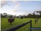 65 Coolibah Road, Pearcedale VIC 3912