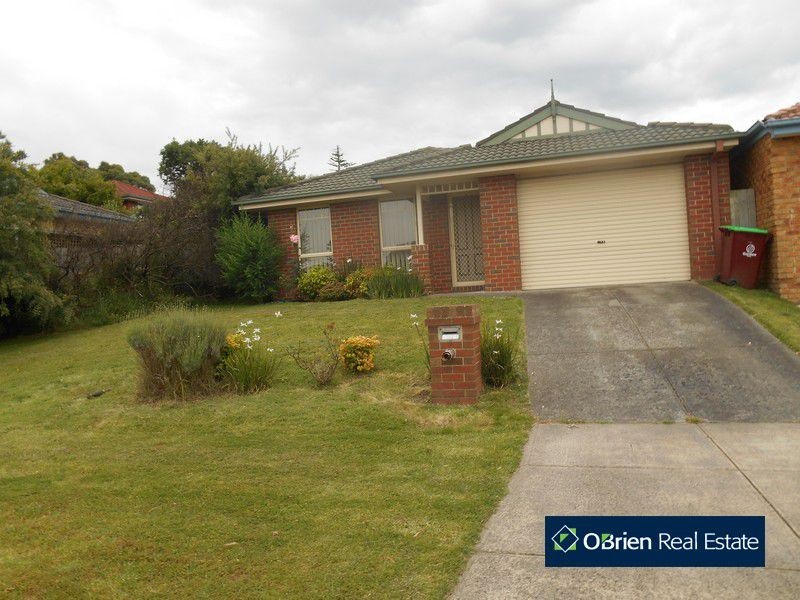 17 Wanderer Court, Berwick VIC 3806
