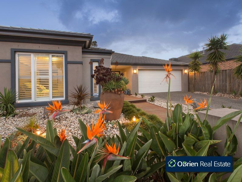 7 Don Collins Way, Berwick VIC 3806