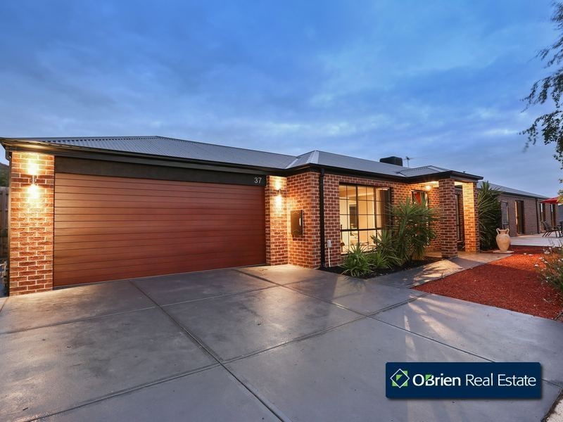 37 Rodlarni Crescent, Berwick VIC 3806