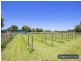 125 Victoria Road, Pearcedale VIC 3912