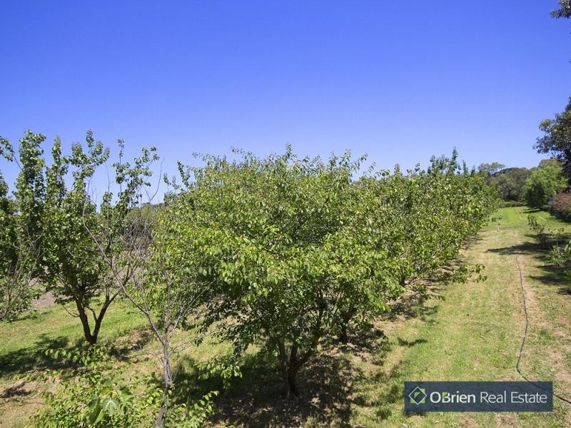 125 Victoria Road, Pearcedale VIC 3912