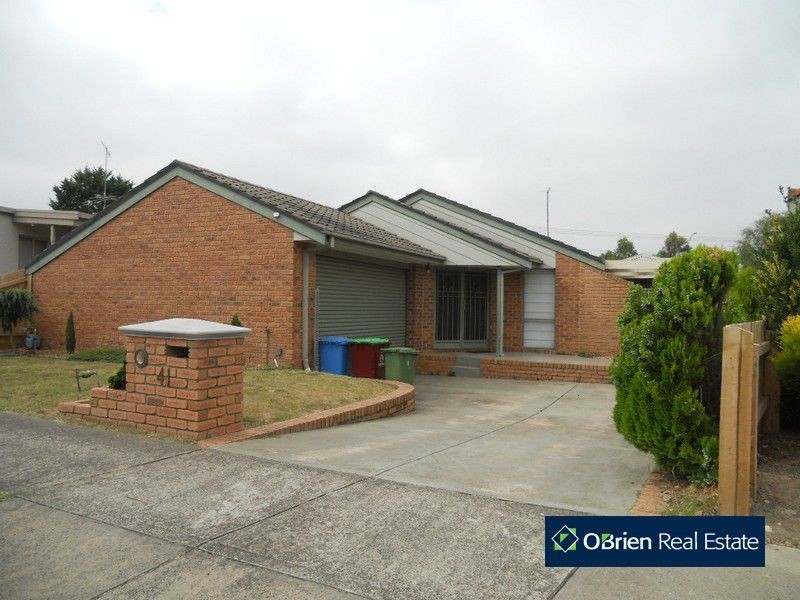 41 Hedgeley Drive, Berwick VIC 3806