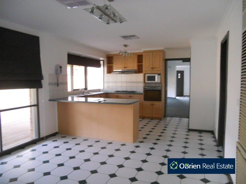 41 Hedgeley Drive, Berwick VIC 3806