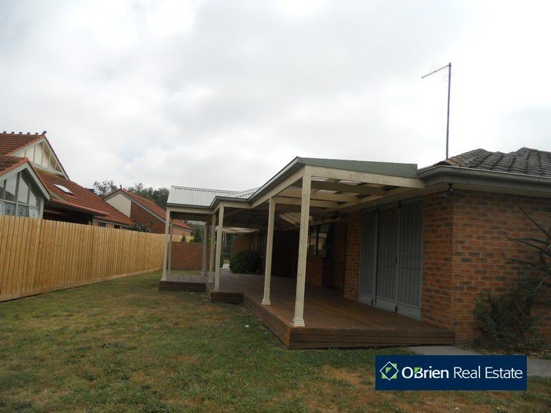 41 Hedgeley Drive, Berwick VIC 3806