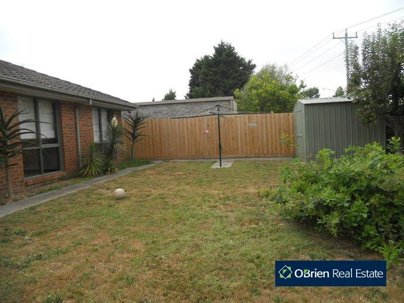 41 Hedgeley Drive, Berwick VIC 3806