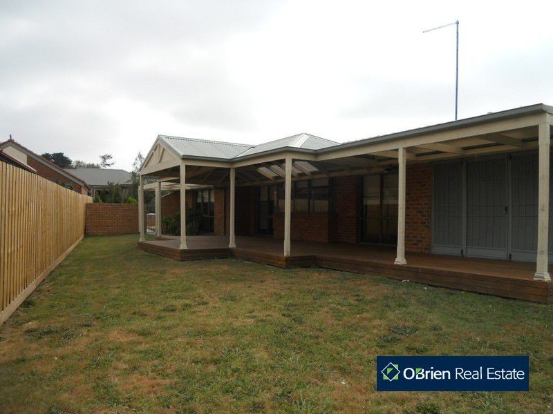 41 Hedgeley Drive, Berwick VIC 3806