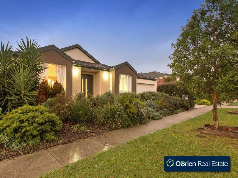 12 Marbelia Drive, Berwick VIC 3806