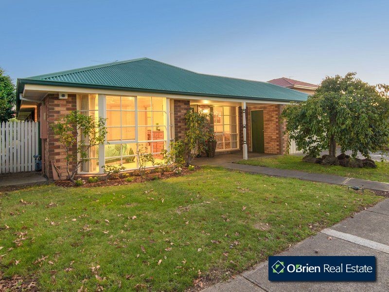 33 Hedgeley Drive, Berwick VIC 3806