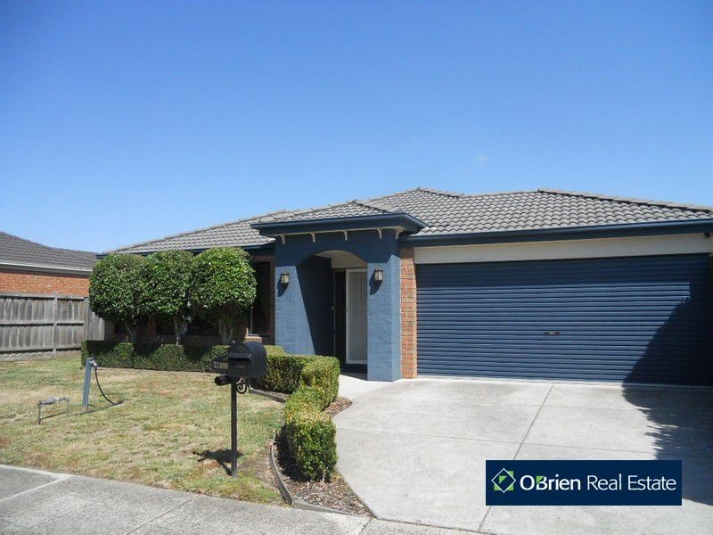 11 Eucumbene Drive, Berwick VIC 3806