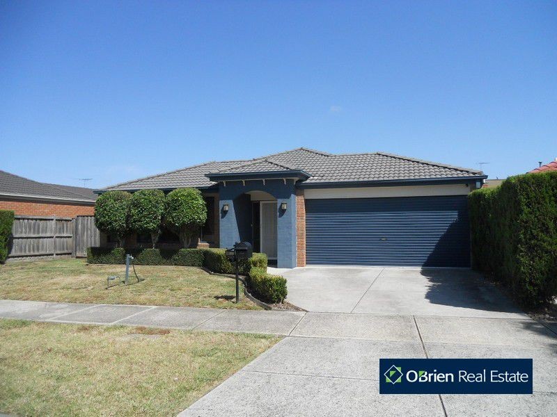 11 Eucumbene Drive, Berwick VIC 3806