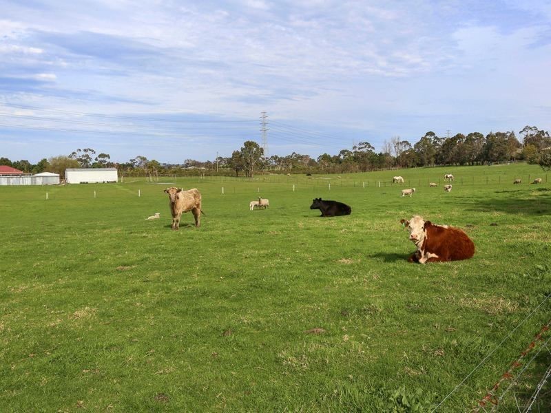 495 Tyabb-Tooradin Road, Pearcedale VIC 3912